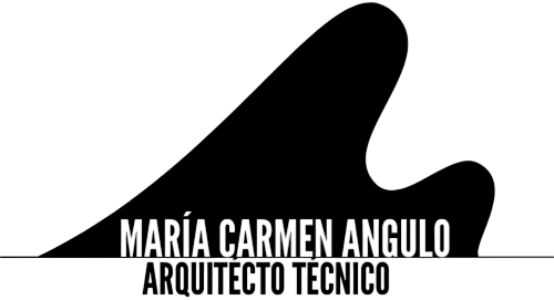 María Carmen Ángulo